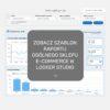 Raport e-commerce w Looker Studio
