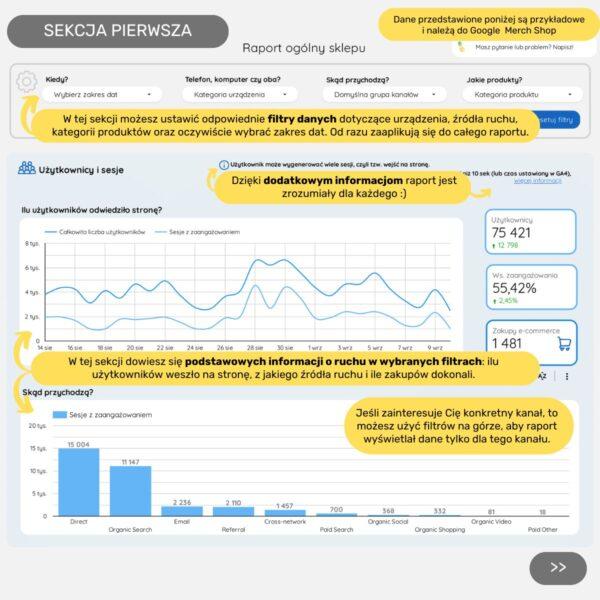 Raport e-commerce w Looker Studio - obrazek 2